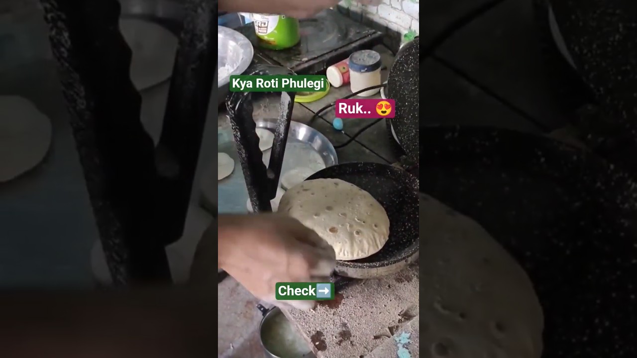 ❣️Best Electric Roti Maker | Roti Maker Review| Prestige Roti Maker | Chapati Maker Review