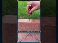 Brick joints | Smart Trick Zone #tricks #hack #tips #brickwork #tips #diy #youtubeshorts