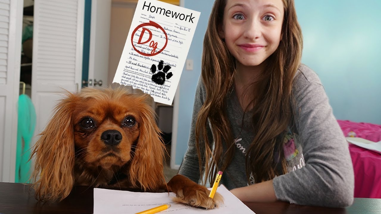 my dog does my homework