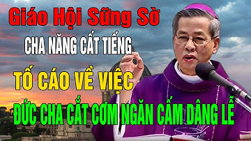 Toàn Giáo Hội Đứng Hình Về Sự Việc ĐỨC CHA BỊ CẮT CƠM NGĂN CẤM DÂNG LỄ - ĐTGM Nguyễn Năng Lên Tiếng