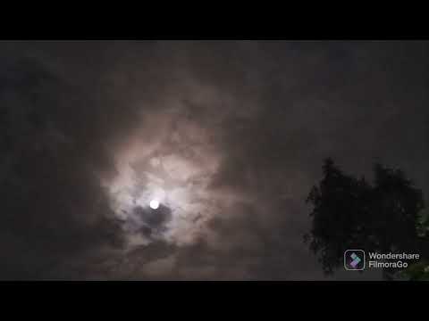 Wolf howl full moon night..