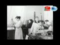 Ученые ВНИРО в годы войны
