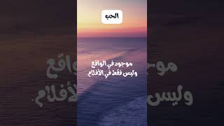 الحب عند النظر الأول