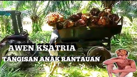 Lagu anak rantau sedih, (cipt:awen ksatria cover afgiantara video klip by arma)
