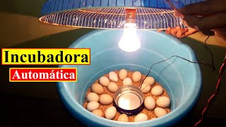 Incubadora Casera Automática | Incubadora Casera Nacimiento de Pollitos | La Mejor Incubadora Casera