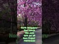 North Bengaluru #plots #realestateinvesting #realestate #devanahalli#northbangalore #property#villa