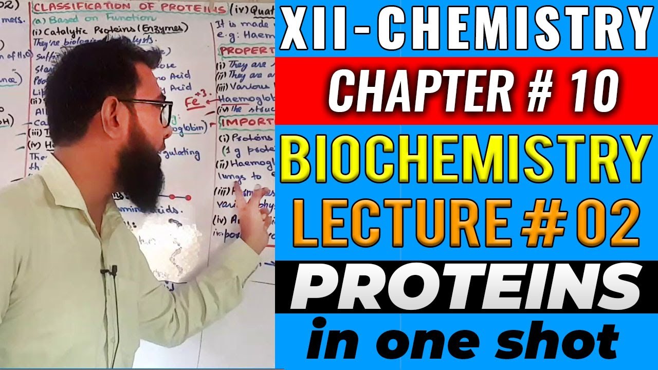 XII-Chem | CH#10 | PROTEINS in One Shot