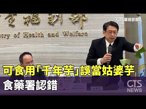 糗！ 可食用「千年芋」誤當有毒姑婆芋 食藥署認錯｜華視新聞 20231102