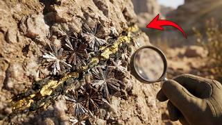 Las señales naturales vivas que llevan directo al oro