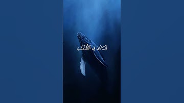 وذا النون إذ ذهب مغاضبا..القارئ/طارق محمد🌻تدبَّر🌻حالات واتس
