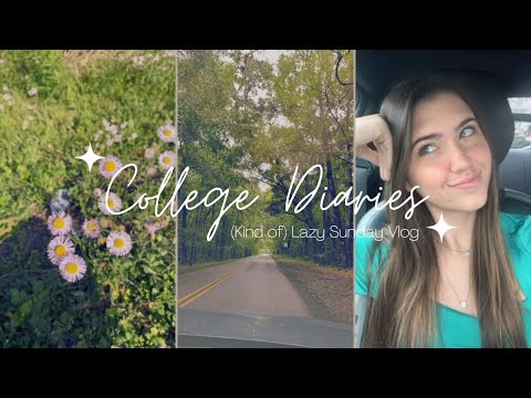 Lazy (Kind of) Sunday Vlog  || College Life || Sarah Genevieve