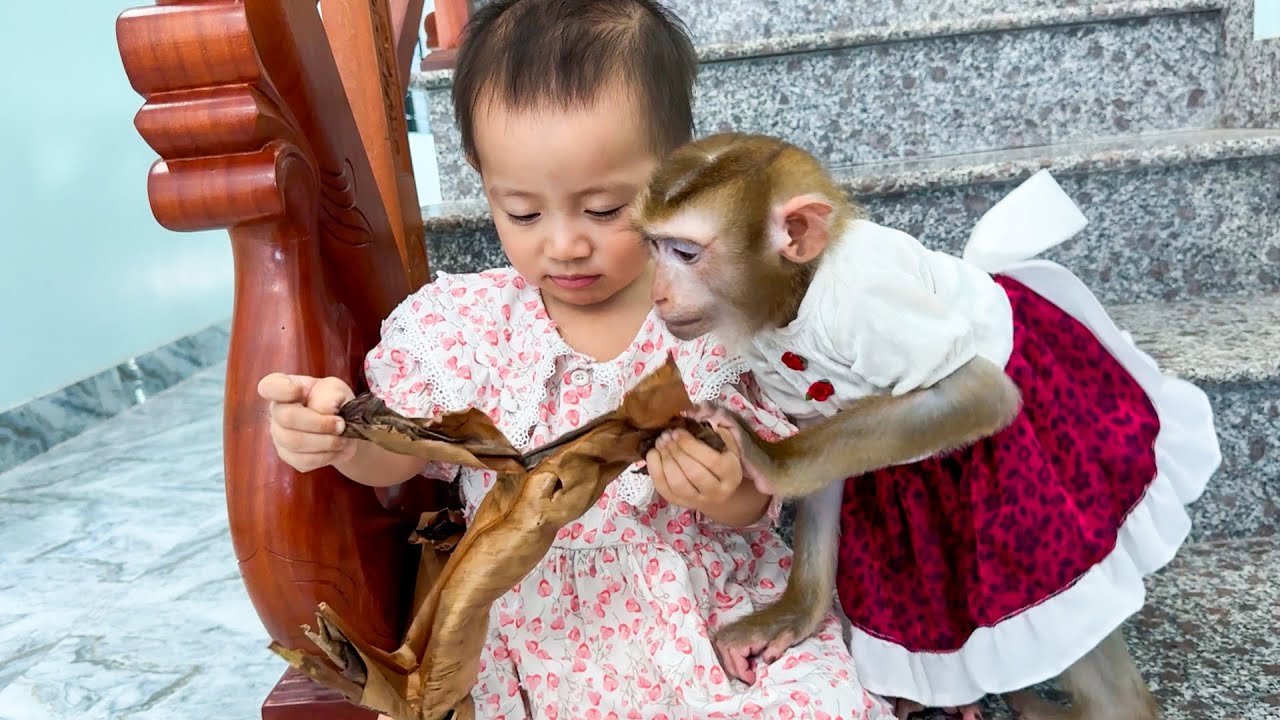 Do you want some Monkey Kaka? This cake is delicious