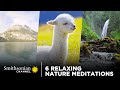 view 6 Relaxing Nature Meditations 😌 Smithsonian Channel digital asset number 1
