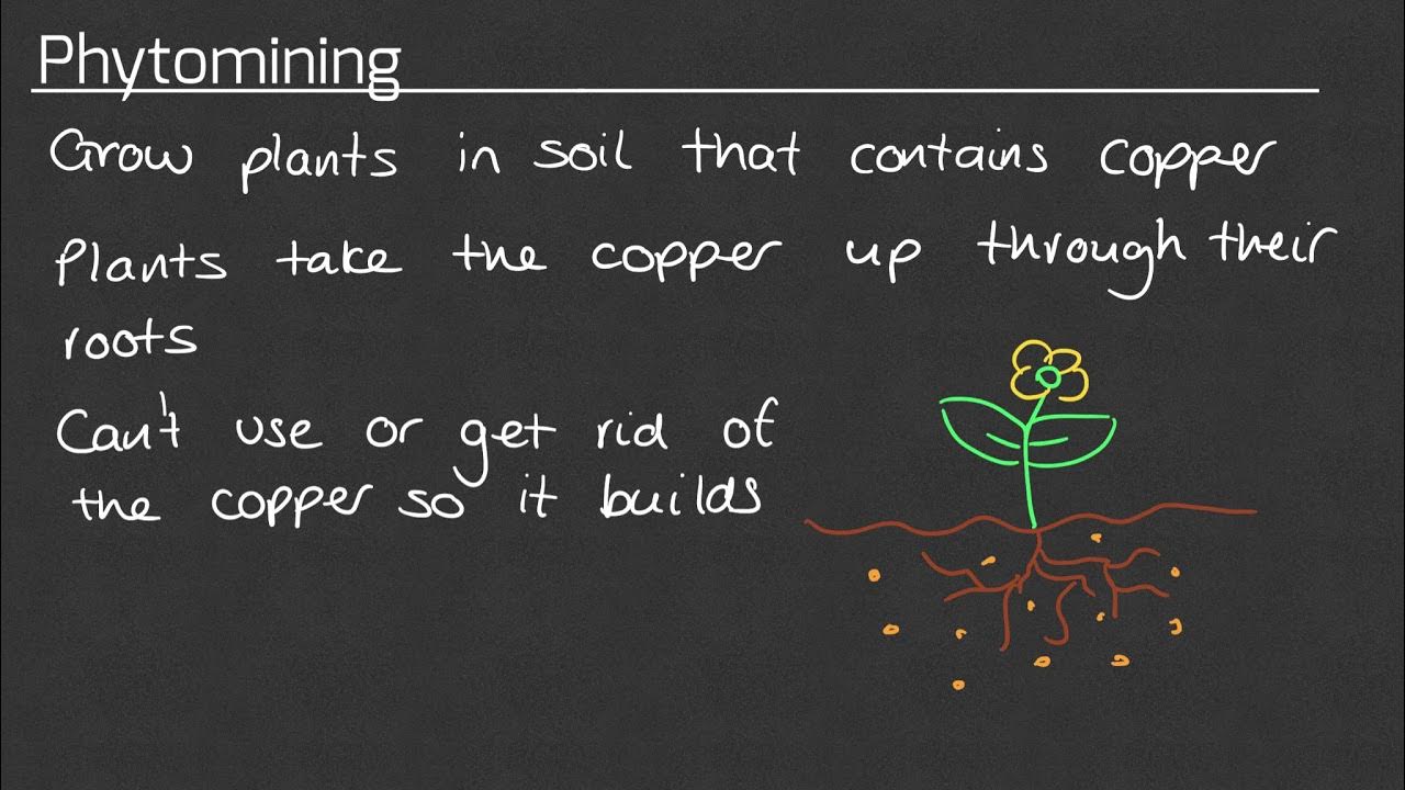 Extracting Copper GCSE Chemistry 4.10.1 YouTube