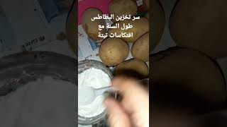 #طريقة تخزين البطاطس طول السنة وتكات واسرار مع افتكاسات تيتة https://youtu.be/CZ1ghYT1XKk