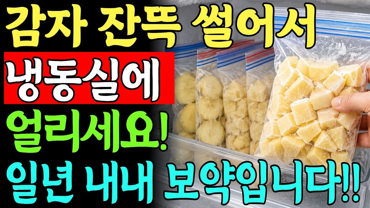 여름에 감자 지금 쌀 때 꼭 사서 이렇게 얼려두세요! 간단하게 썩지않고 1년 내내 맛있게 먹는 방법과 초간단 정말 맛있는 감자요리까지!