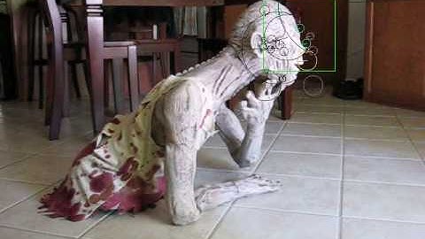 Computer Vision Final Project - SURF Tracking - Zombie Crawl