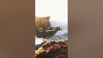 سورة العاديات #قران_كريم #المصحف #راحة_نفسية #youtube #اكسبلور #تيك_توك #fyp