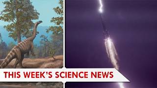 New Small Sauropod Species and Lightning Hits Rocket