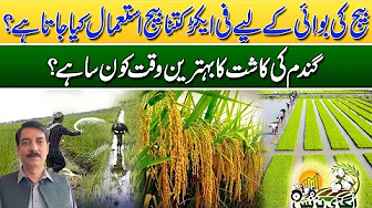 Gandum Ki Kasht Ka Behtareen Waqt Konsa ?? l Agri Business l 31 OCT 2025 l Rohi