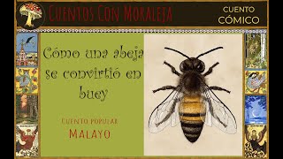 Cuento cómico malayo | Como una abeja se convirtió en Buey