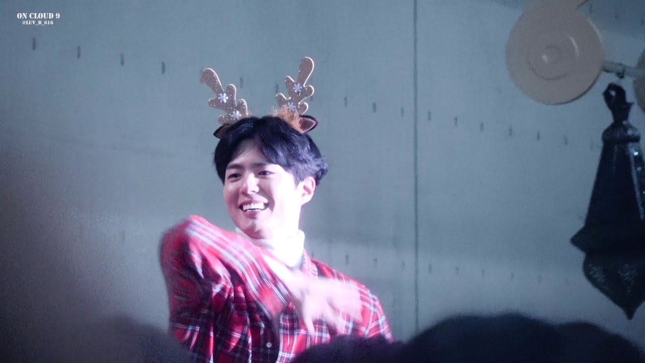 パクボゴムPark BoGum Fanmeeting ChristmasEve 【公式通販】