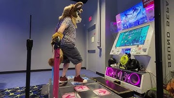 Fursuit DDR doubles! The Safari 13 EDP; A rank