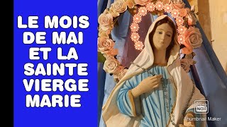 Pourquoi le mois de mai est le mois de la Vierge Marie ?