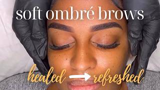 Ombre Brows Touch-Up ( 2 Year Healed Results + Refresh)