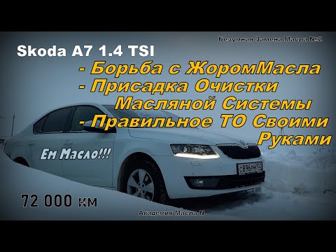 Skoda: ЖорМасла, Тест Присадки Для Очистки, Новое Масло, ТО Своими Руками. Ресурсный Тест (2024)