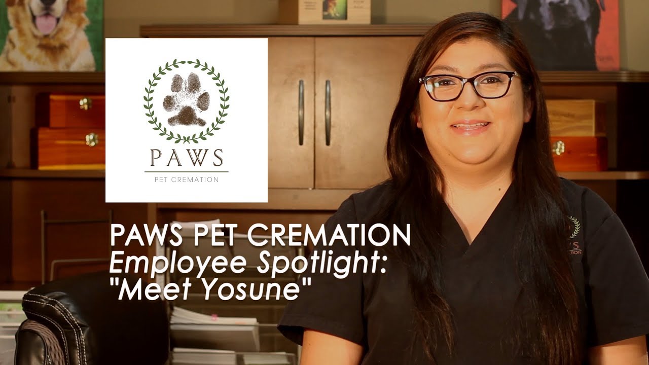 Paws Pet Cremation Employee Spotlight on "Yosune" YouTube