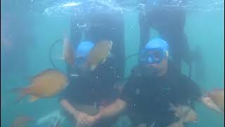 I did scuba diving for the first time