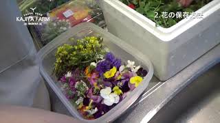梶谷農園の商品と花の種類紹介、エディブルフラワーとベビーリーフの保存方法