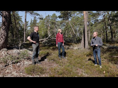 Video: Vad är en blyertspole?