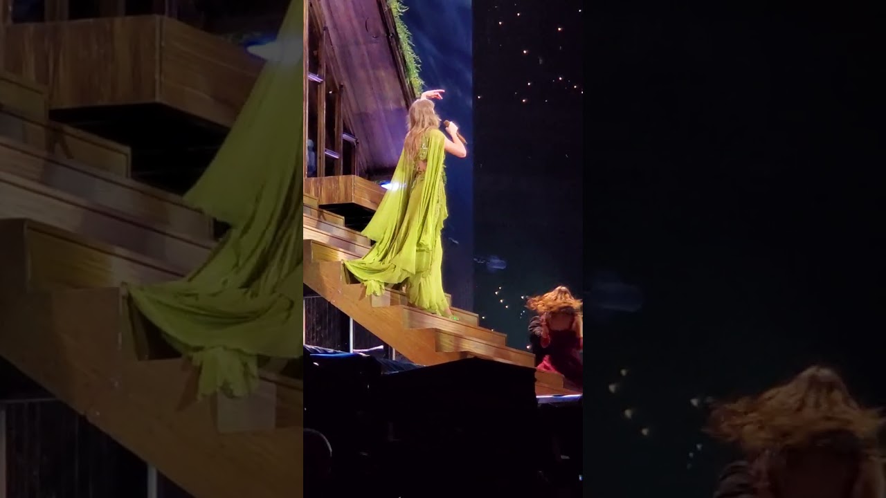 the last great american dynasty Taylor Swift N1 The Eras Tour