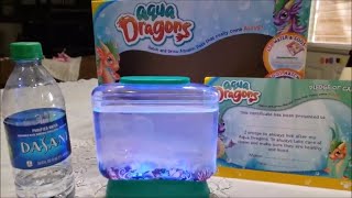 Little Live Aqua Dragons w/LED Up! They're Alive! -