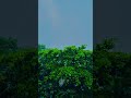 Just imagine 🤌 দেখার মতো একটি Weather ছিলো।