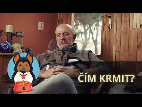 Video: Jak Krmit Psa Po Porodu