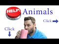 Click and I will give R0,10 to an animal organization