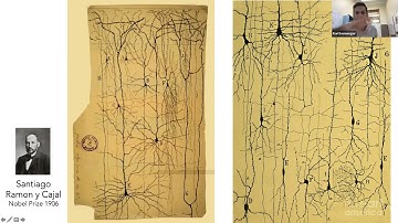 Building blocks of the brain: Insights into how the brain functions