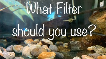 Turtle filtration | Turtle filter setup | Filtration explained | Turtle Tank Setup