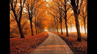 Autumn Relaxing Music - George Winston