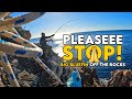 Big Bluefin Tuna Goes Airborne | Violent Topwater Strike!