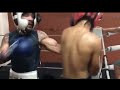Young and HUNGRY Vs Battle tested VET