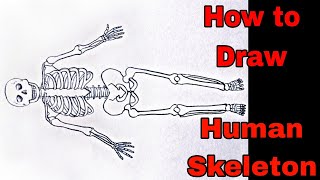 Human Skeleton Drawing Easy | How To Make Human Skeleton Drawing | मानव कंकाल का चित्र screenshot 3