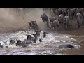 The Great Migration - Northern Serengeti, Asilia Africa