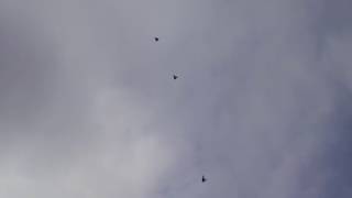 Николаевские Иловайска 2018