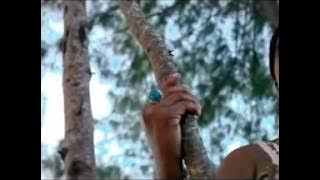 wapendanao = Hammer Q & Salha Mr & Mrs   YouTube 2