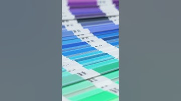 Unlock Your Creativity: Mastering the Art of Color Palette Selection