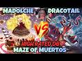MADOLCHE SOLFACHORD VS DRACOTAIL | HIGH RATED DB YUGIOH!